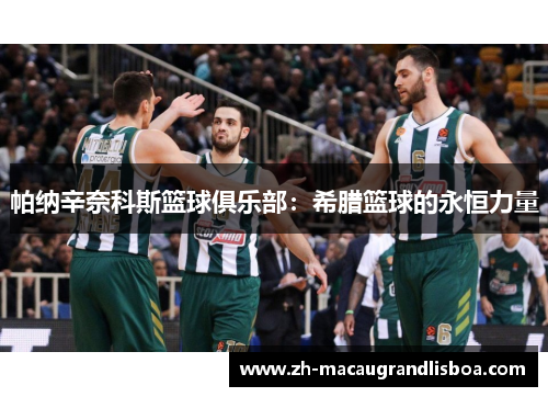 帕纳辛奈科斯篮球俱乐部：希腊篮球的永恒力量