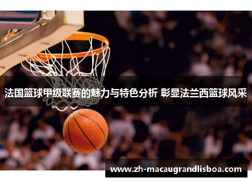 法国篮球甲级联赛的魅力与特色分析 彰显法兰西篮球风采