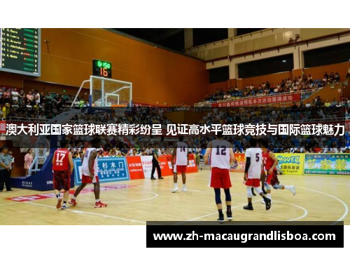 澳大利亚国家篮球联赛精彩纷呈 见证高水平篮球竞技与国际篮球魅力