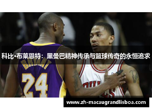 科比·布莱恩特：黑曼巴精神传承与篮球传奇的永恒追求