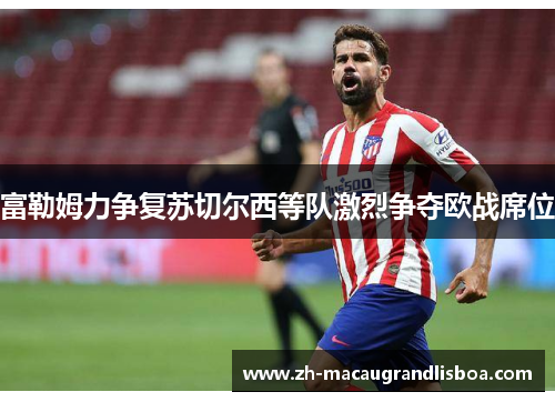 富勒姆力争复苏切尔西等队激烈争夺欧战席位 富勒姆力争复苏切尔西等队激烈争夺欧战席位
