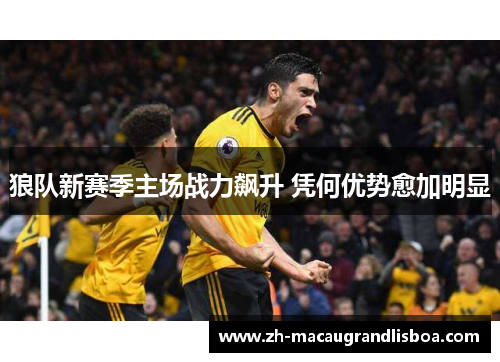 狼队新赛季主场战力飙升 凭何优势愈加明显