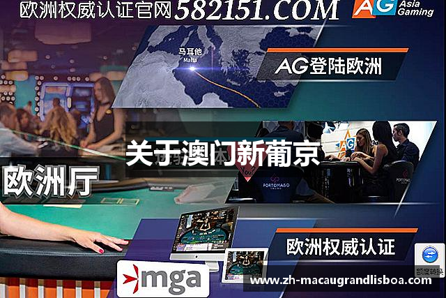 关于澳门新葡京